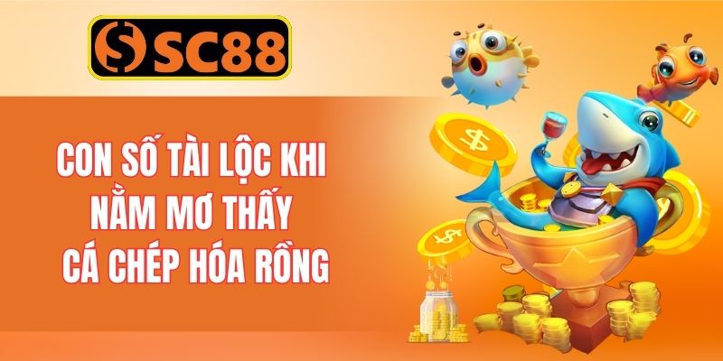 Con số tài lộc khi nằm mơ thấy cá chép hóa rồng