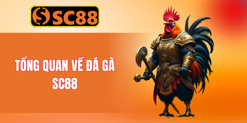 Tổng quan về đá gà SC88