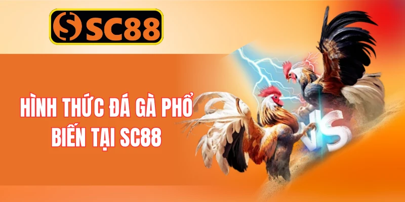 Hình thức đá gà phổ biến tại SC88